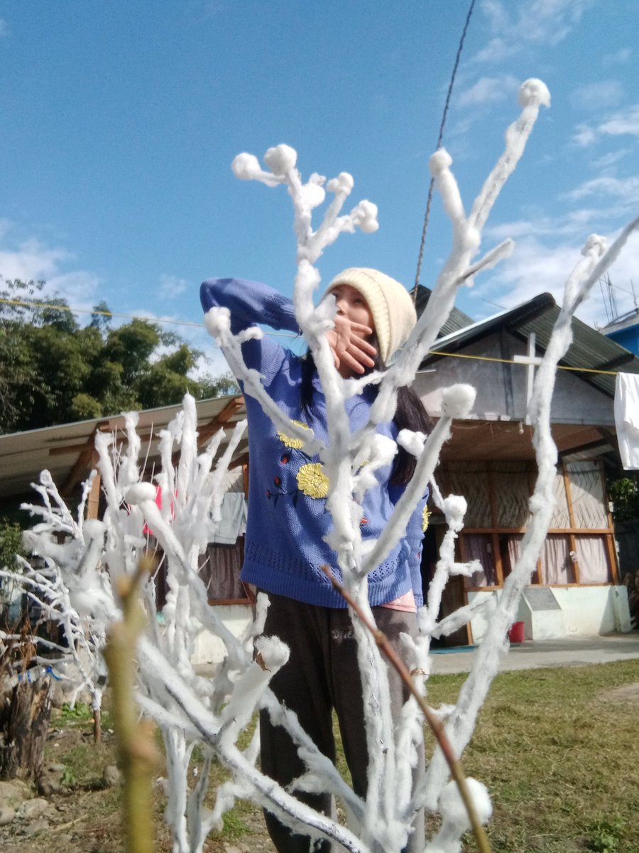AntiiPangu's tweet photo. https://t.co/Un8upqrj0P
