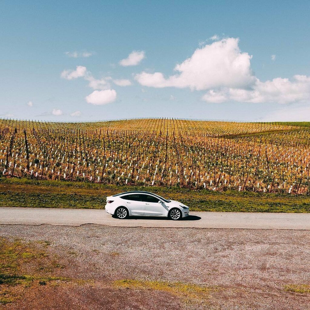 The Tesla Hub tweet media