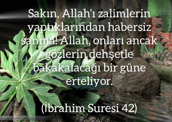 AyYldz300's tweet photo. (İbrahim Suresi Ayet, 42)

#AyetlerKurtuluştur https://t.co/qHpFndN5Co