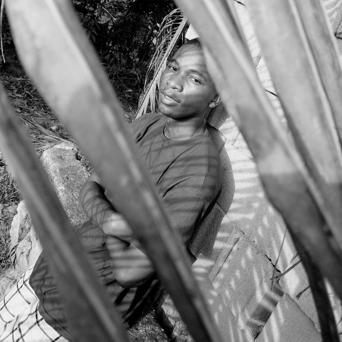 zuckerworths44 tweet media