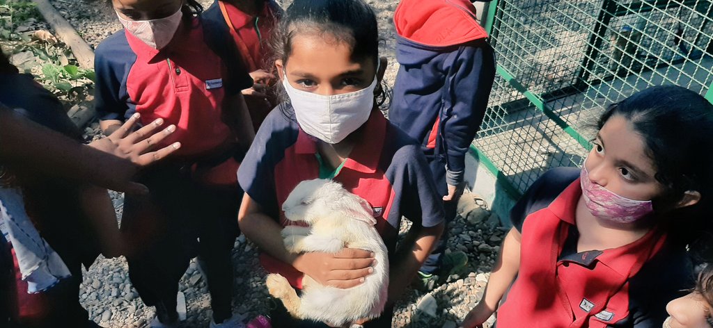 The seed of kindness in students should be sown right now from the childhood as it is crucial to imbibe these qualities in them. If everyone starts to look at animals and not just dogs and cats as fellow animals, who share our planet.<a href="/MariyamBaxamusa/">Mariyam Baxamusa</a> <a href="/BhumiManglani/">Bhumika Manglani</a>