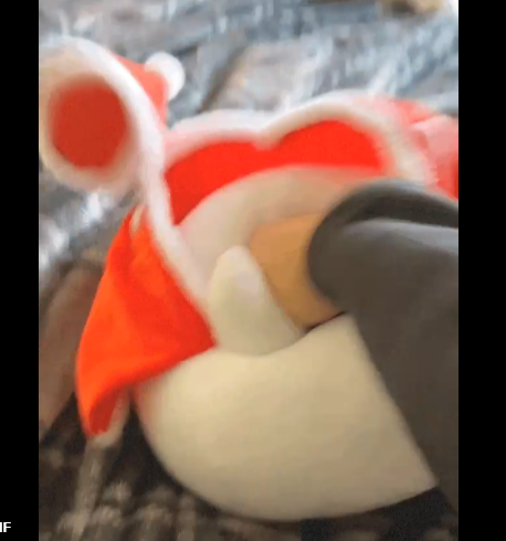 Haileybutt_'s tweet photo. @JfoxxTV @berdyaboi NOT THE HAT https://t.co/8CotY3EDJF