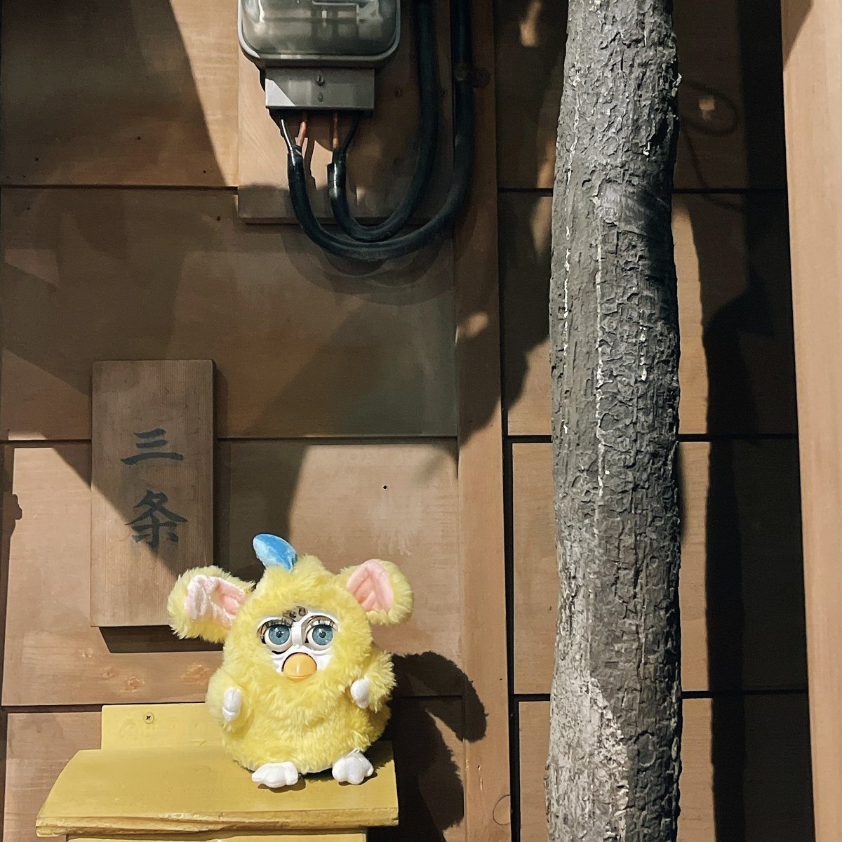 furby_nushi2's tweet photo. 21.12.23
#furby #γγ‘γΌγγΌ
#Peebo #γγΌγ
https://t.co/EmszNfNnzU https://t.co/rL5W1Xgugw