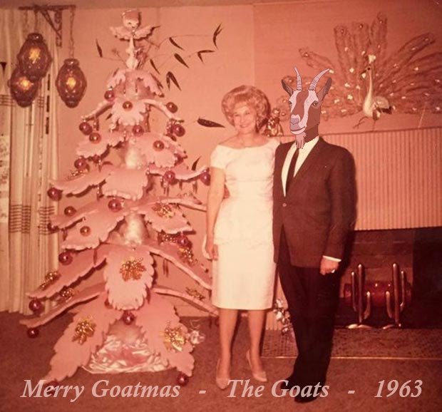 adaGOATS's tweet photo. MERRY GOATmas tribe! Krampus let us know he wants one last poll before the rest of the world is overtaken. Won't be long now, until then lets have some fun! #goatcreate
Vote your winner below for the grand prize of a 100% organic, authentic GOAT Tribe #CNFT https://t.co/9vPJkVwEr4