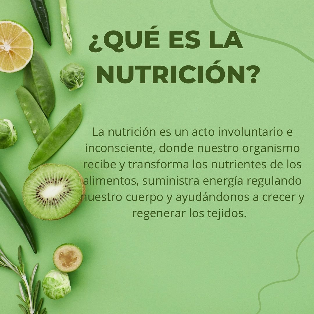 EducacioF's tweet photo. Esta semana os hablaremos de la alimentación saludable. 

¿Sabéis las diferencias entre la alimentación y la nutrición? ➡️ Desliza y las descubrirás 

También encontraréis el aparato digestivo, con todo sus órganos que hacen el proceso de nutrición se lleve a cabo. 

Salud! 💪🏽 https://t.co/mJKictpR60