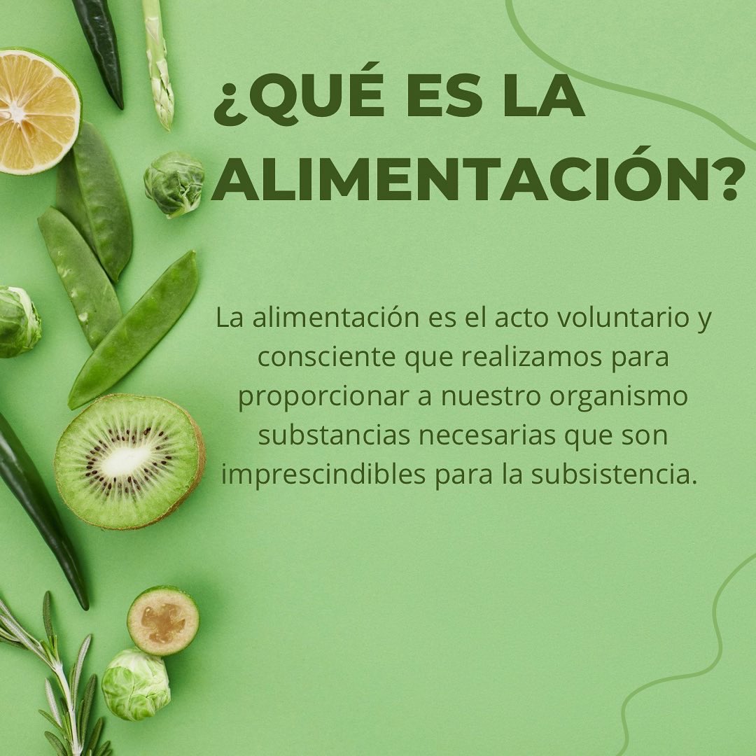EducacioF's tweet photo. Esta semana os hablaremos de la alimentación saludable. 

¿Sabéis las diferencias entre la alimentación y la nutrición? ➡️ Desliza y las descubrirás 

También encontraréis el aparato digestivo, con todo sus órganos que hacen el proceso de nutrición se lleve a cabo. 

Salud! 💪🏽 https://t.co/mJKictpR60
