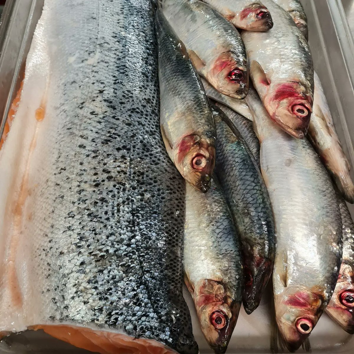 Theyellowhouse_'s tweet photo. The pickled herring is ready and full of flavour from the sweetened pickling spices including black peppercorns, cloves, allspice, mustard seeds and bay leaves
#pickledherring #sursild #herring https://t.co/RBxYXDuk5T