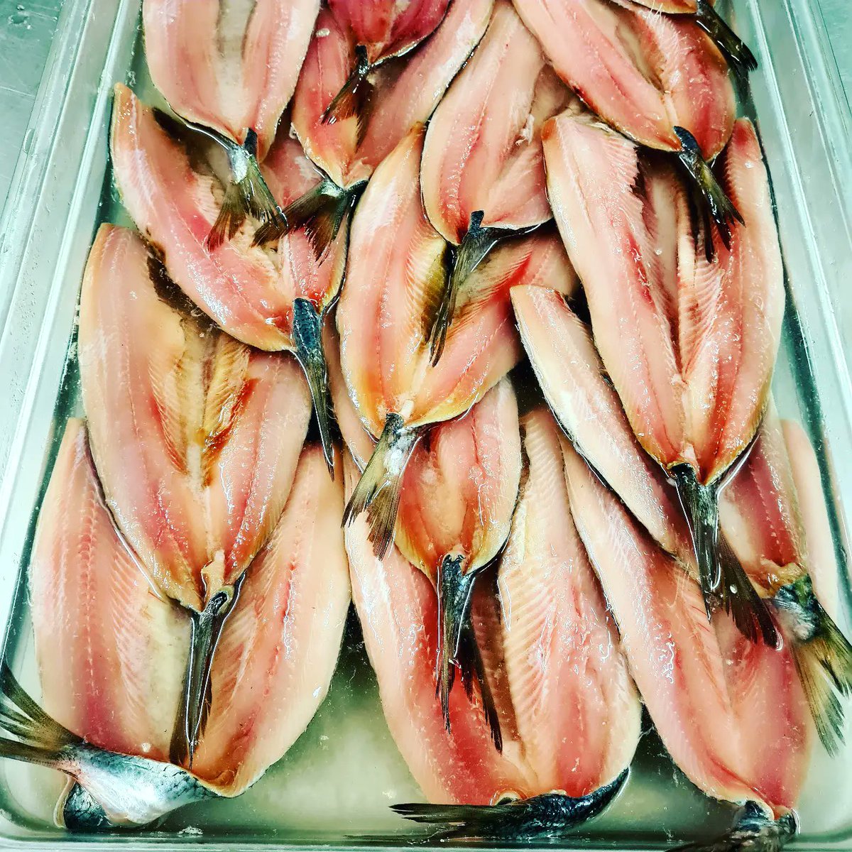 Theyellowhouse_'s tweet photo. The pickled herring is ready and full of flavour from the sweetened pickling spices including black peppercorns, cloves, allspice, mustard seeds and bay leaves
#pickledherring #sursild #herring https://t.co/RBxYXDuk5T