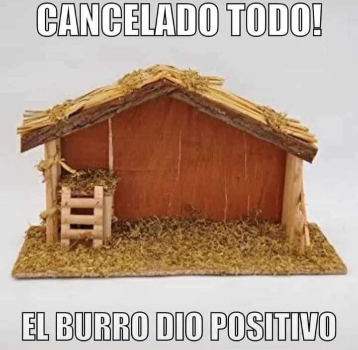 fmaritza's tweet photo. 🤣🤣🤣🎄 https://t.co/p9s3KPaYP2