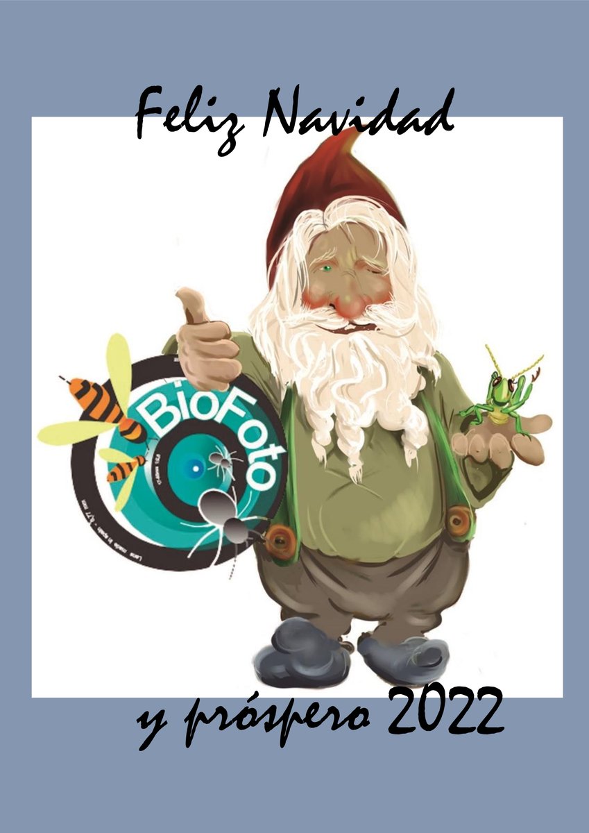 Cómo no, el gnomo de <a href="/biofoto3/">biofoto</a> también llega a nuestros buzones para desearnos felices fiestas. Muchas gracias!!!!!!!!!

<a href="/sancheztostado/">L.M. Sánchez Tostado</a>