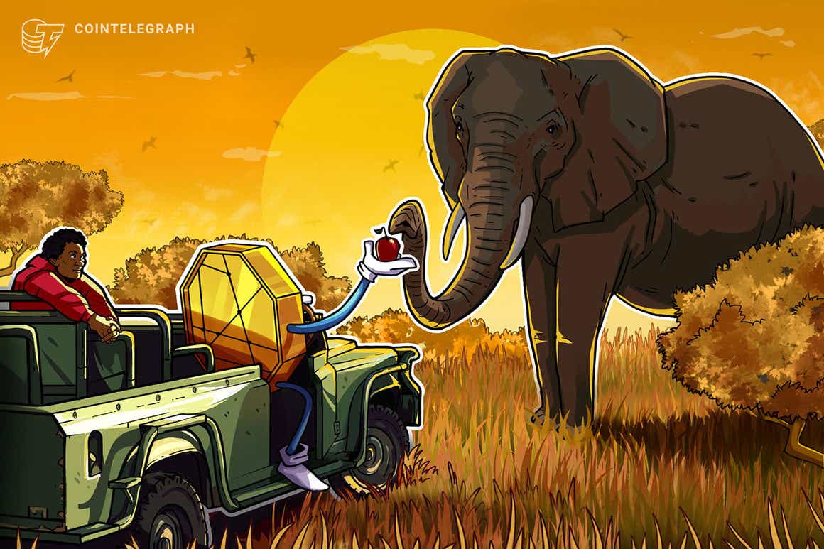 Strategic_Funds's tweet photo. Introducing more regulations around #cryptomight be good for investors and actually allow #innovation to flourish. Here's how #SouthAfrica is doing it @Cointelegraph  https://t.co/Xu9SOyBpJ6 https://t.co/BM1jLJJOjl