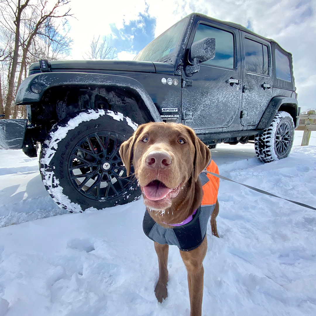 Jeep's tweet photo. It's never too cold for an adventure.

📸: Barbara M. https://t.co/eb0PRWygjO