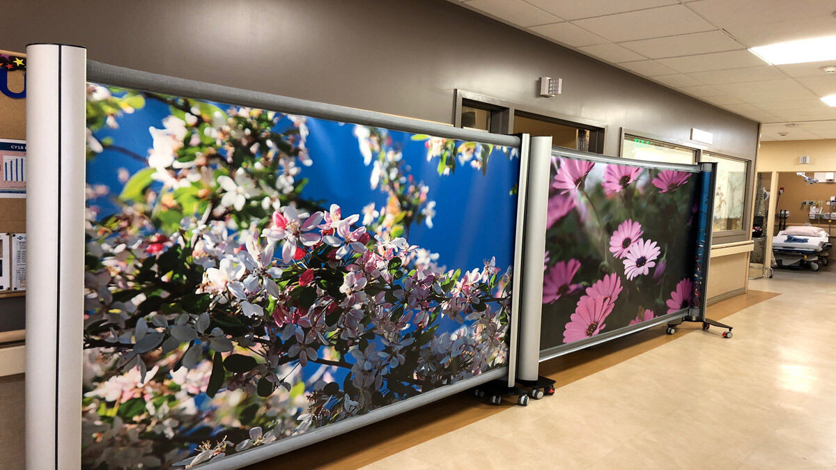 Rolascreen tweet media