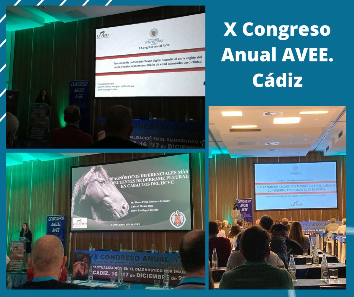 HCVeterinarioUCM tweet media