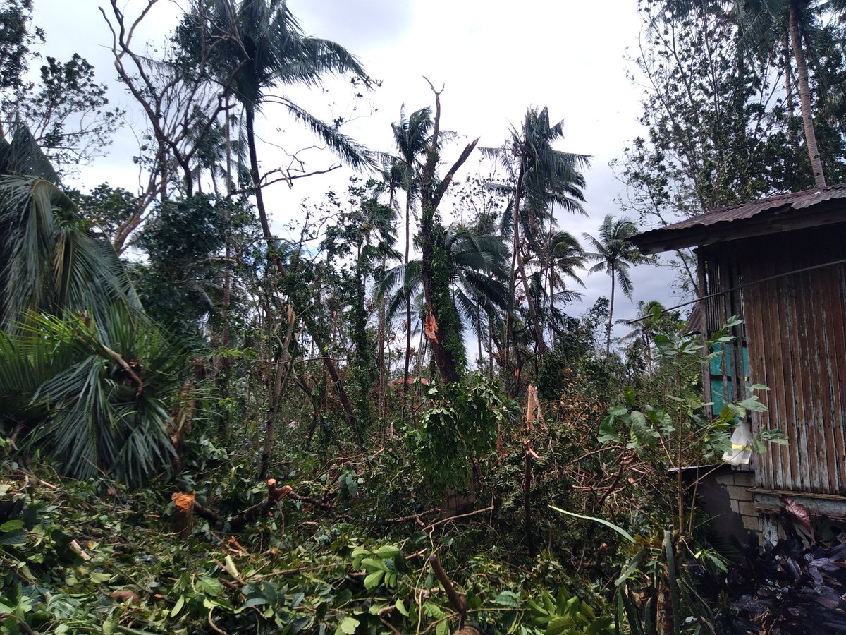 belindzuuh's tweet photo. I'm knocking to your hearts and soul please donate goods or a small amount for Bohol (I am resident of Bohol) I only have this spare time after the total blackout and no internet connectivity due to typhoon Odette.
Gcash: 09169934403
#BoholneedsHelp
#BangonBohol https://t.co/JE3r5lQgub