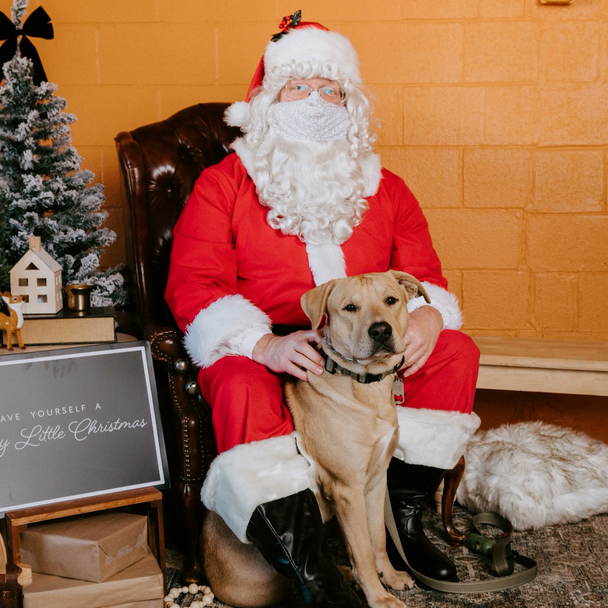 Monocacy Brewing Co. tweet media