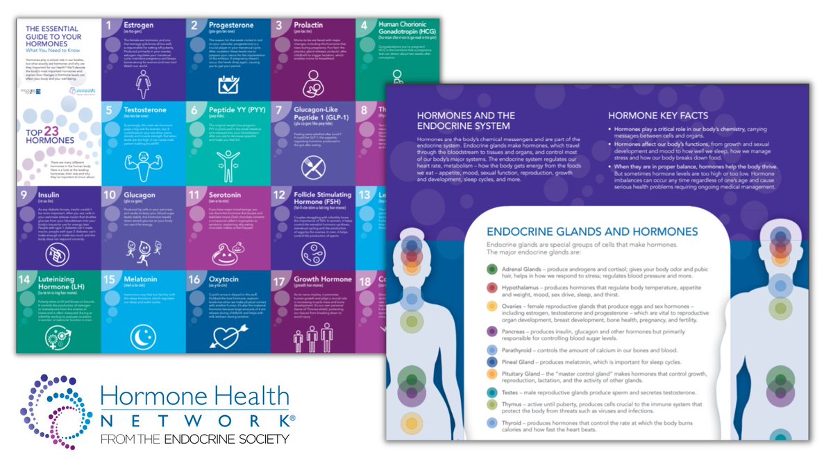 HormoneHealthNetwork tweet media