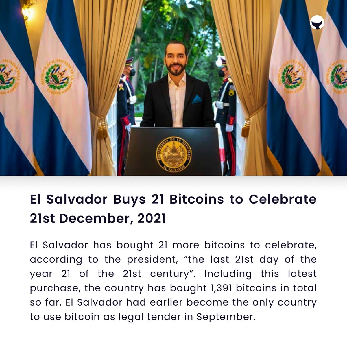 _CryptoWhaler's tweet photo. El Salvador has bought 21 more bitcoins.

Tags:
#IndianWhaler #IndiaWantsCrypto #crypto #cryptofyingindia🇮🇳 #wazirxwarriors #cryptocurrency #CryptoSetsYouFree #ElSalvador #Bitcoin #BTC https://t.co/1krMRdM6dx
