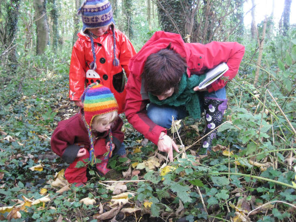 cambridgeforest tweet picture