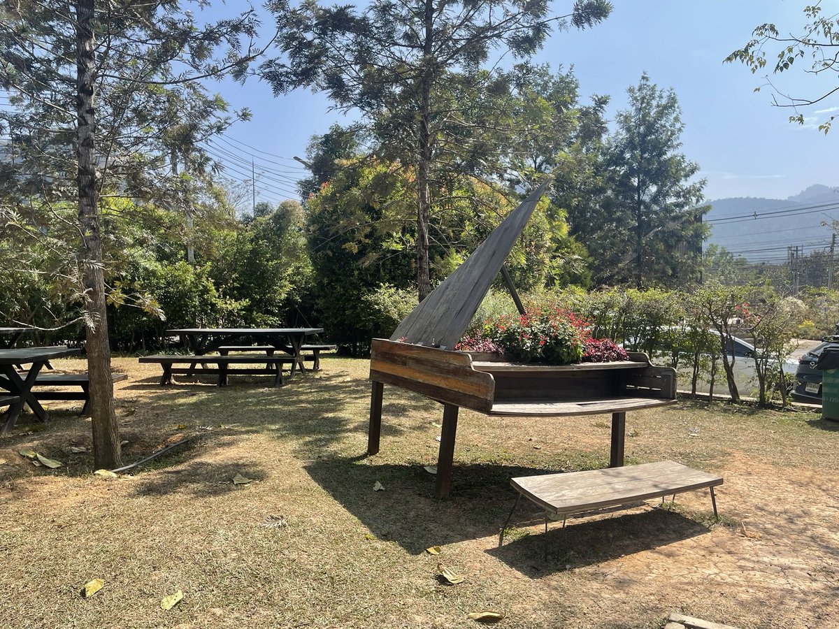 ornthree's tweet photo. Khao Yai - Photo dump 💙 https://t.co/MhWPZoXY2s