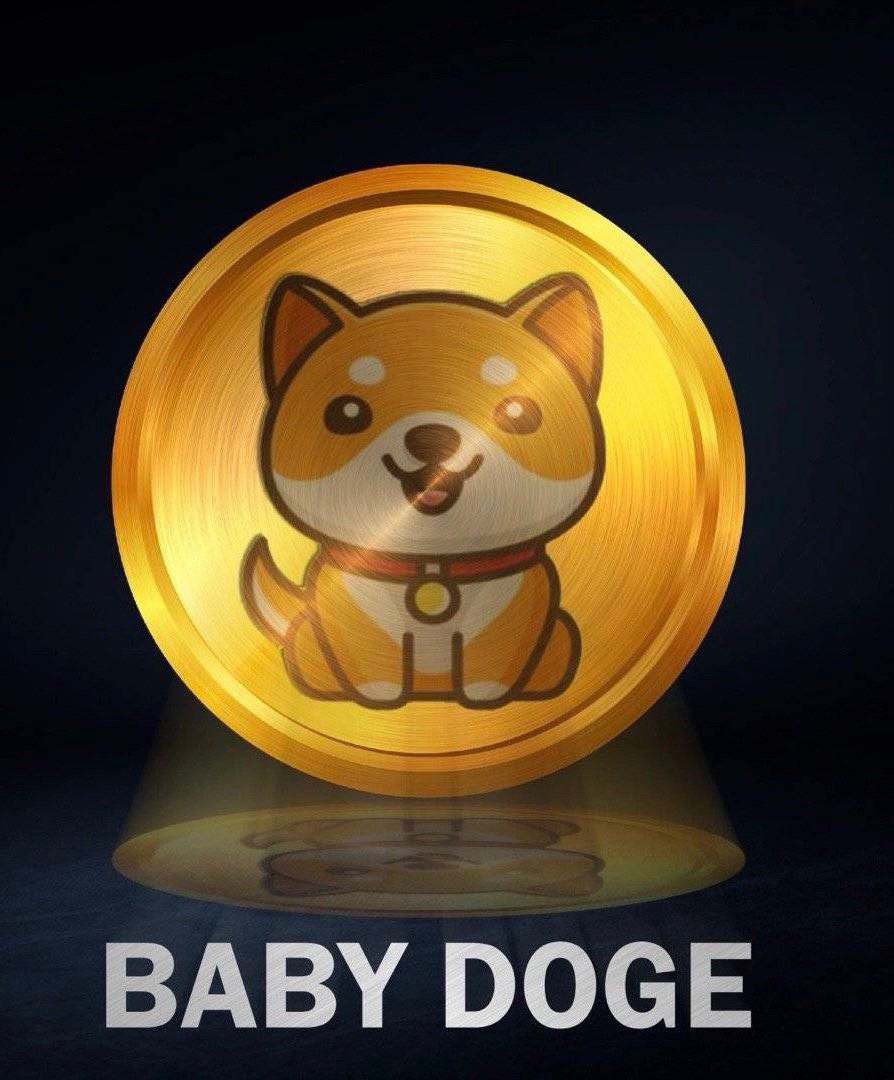 FonoHong's tweet photo. @eToroDE #BabyDogeCoin https://t.co/R1gwB76zSK
