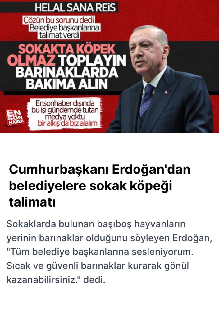 👏🏻👏🏻👏🏻👏🏻 #köpek