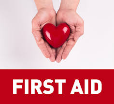 FarmSafetyHour's tweet photo. #FarmSafetyHour #31DaysOfSafety #Day28 First Aid is beneficial to everyone &amp; basic first aid skills could not only help someone else but could help you if you injure yourself before you can access help #learning #farmsafety https://t.co/bvAaWBRsoE