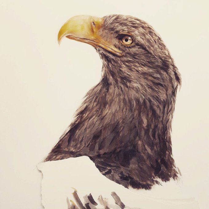 Wildlifeartistのtwitterイラスト検索結果