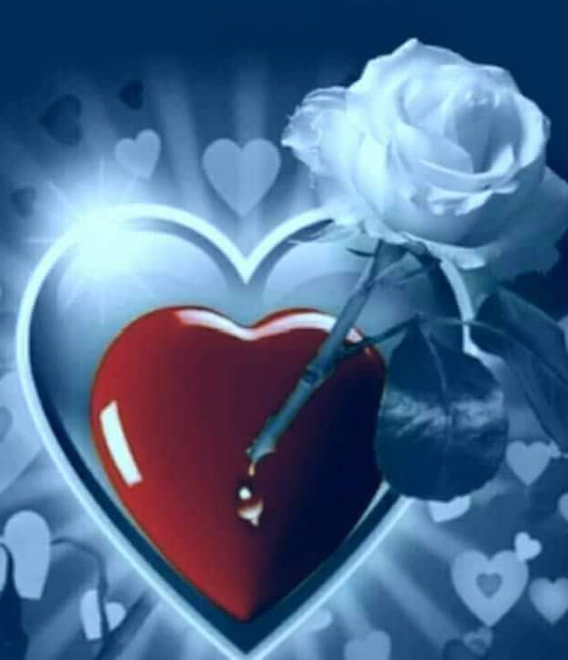 JumoKhan6's tweet photo. جده https://t.co/TjvNmwppjQ