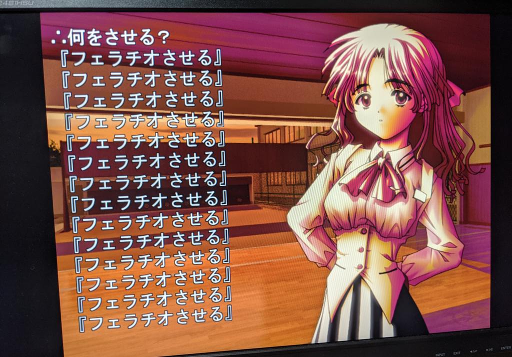 さよならを教えて さよ教初プレイ中。ああ…。ついにこのゲームの伝説的