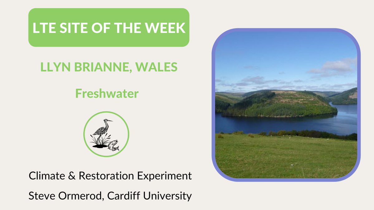 ECT_UK's tweet photo. #LlynBrianne, #Wales is the #LTESiteOfTheWeek. Steve Ormerod is conducting a #restoration #experiment at this #freshwater site https://t.co/jDLUAgD6of @Steve_Ormerod @IsabelleDurance @LlynBrianneLTER @NatResWales @DwrCymru @NERCscience @CUBiosciences @CUWaterResearch @UK_CEH https://t.co/VrKbHmBoO7