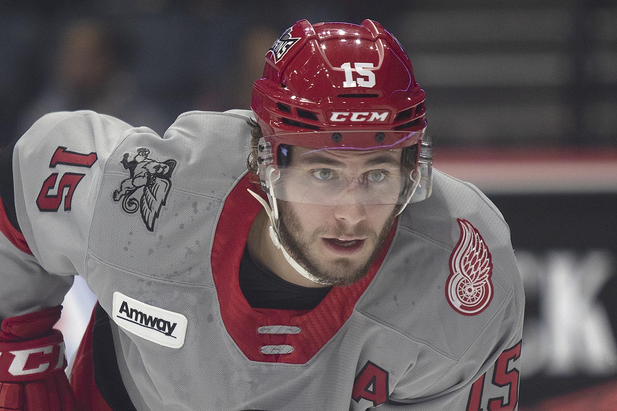 American Hockey League tweet media