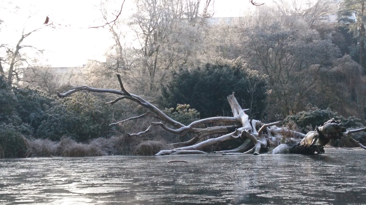 Interaktion_UMR (@interaktion_umr) on Twitter photo Dieser Kanal hier wird jetzt erst mal auf Eis gelegt. Man wird sehen, wie es dann im Frühjahr weitergeht mit <a href="/Interaktion_UMR/">Interaktion_UMR</a>. Uns jedenfalls war es ein Vergnügen, dear Twitterpeeps <a href="/Uni_MR/">Philipps-Universität</a> ! It’s been lovely! Bleibt interaktiv, bleibt im Gespräch, bleibt gesund! Dieser Kanal hier wird jetzt erst mal auf Eis gelegt. Man wird sehen, wie es dann im Frühjahr weitergeht mit <a href="/Interaktion_UMR/">Interaktion_UMR</a>. Uns jedenfalls war es ein Vergnügen, dear Twitterpeeps <a href="/Uni_MR/">Philipps-Universität</a> ! It’s been lovely! Bleibt interaktiv, bleibt im Gespräch, bleibt gesund!