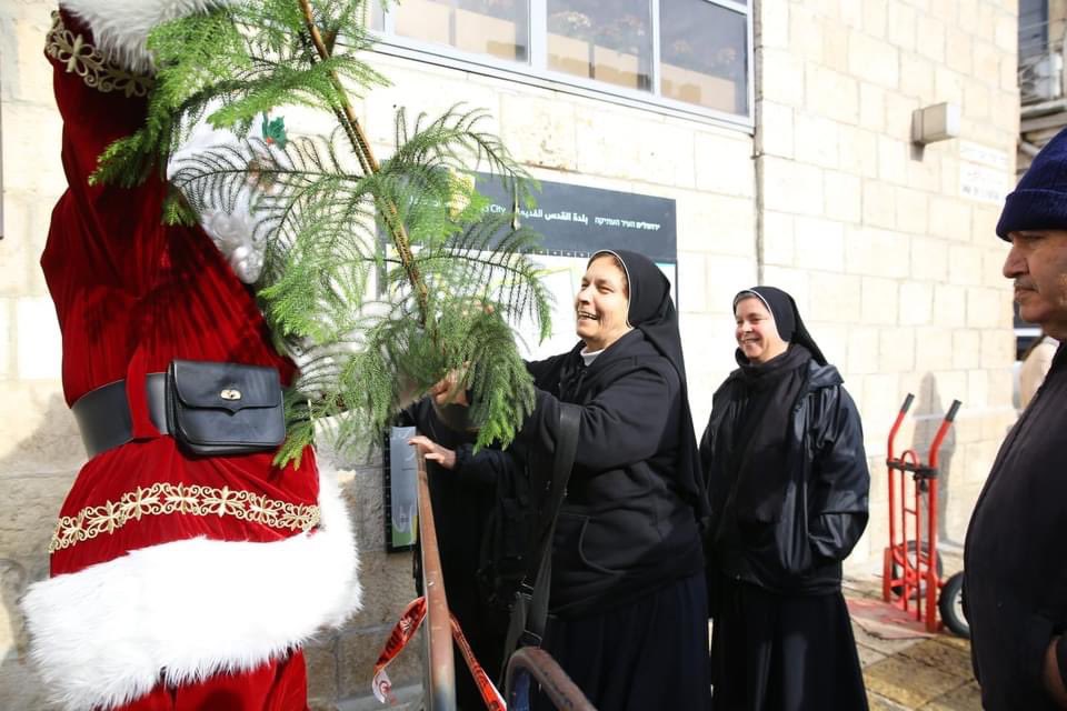 قامت بلدية اورشليم القدس  بتوزيع حوالي 300 من أشجار السرو مجانًا على سكان