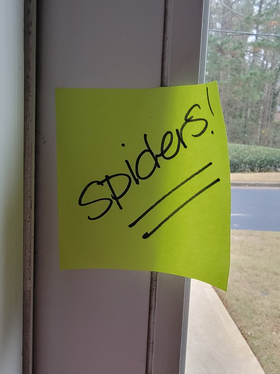 LaraHopeHayes's tweet photo. Context? Some context would be helpful here. #spiderattack #wherespiders #arachnophobia https://t.co/X4apxggzaj