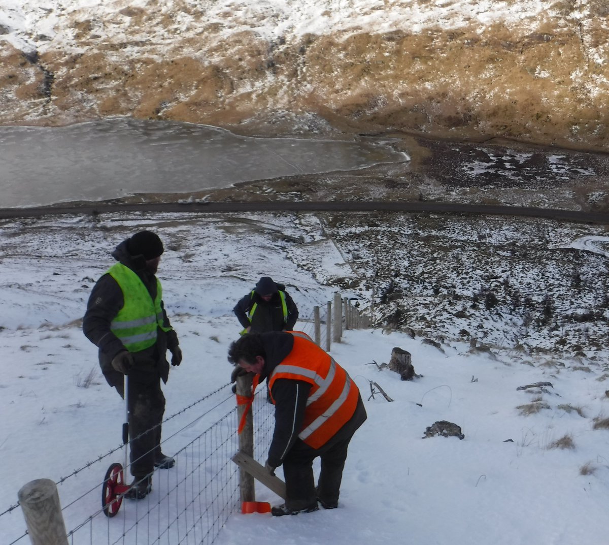 Forestry and Land Scotland tweet media