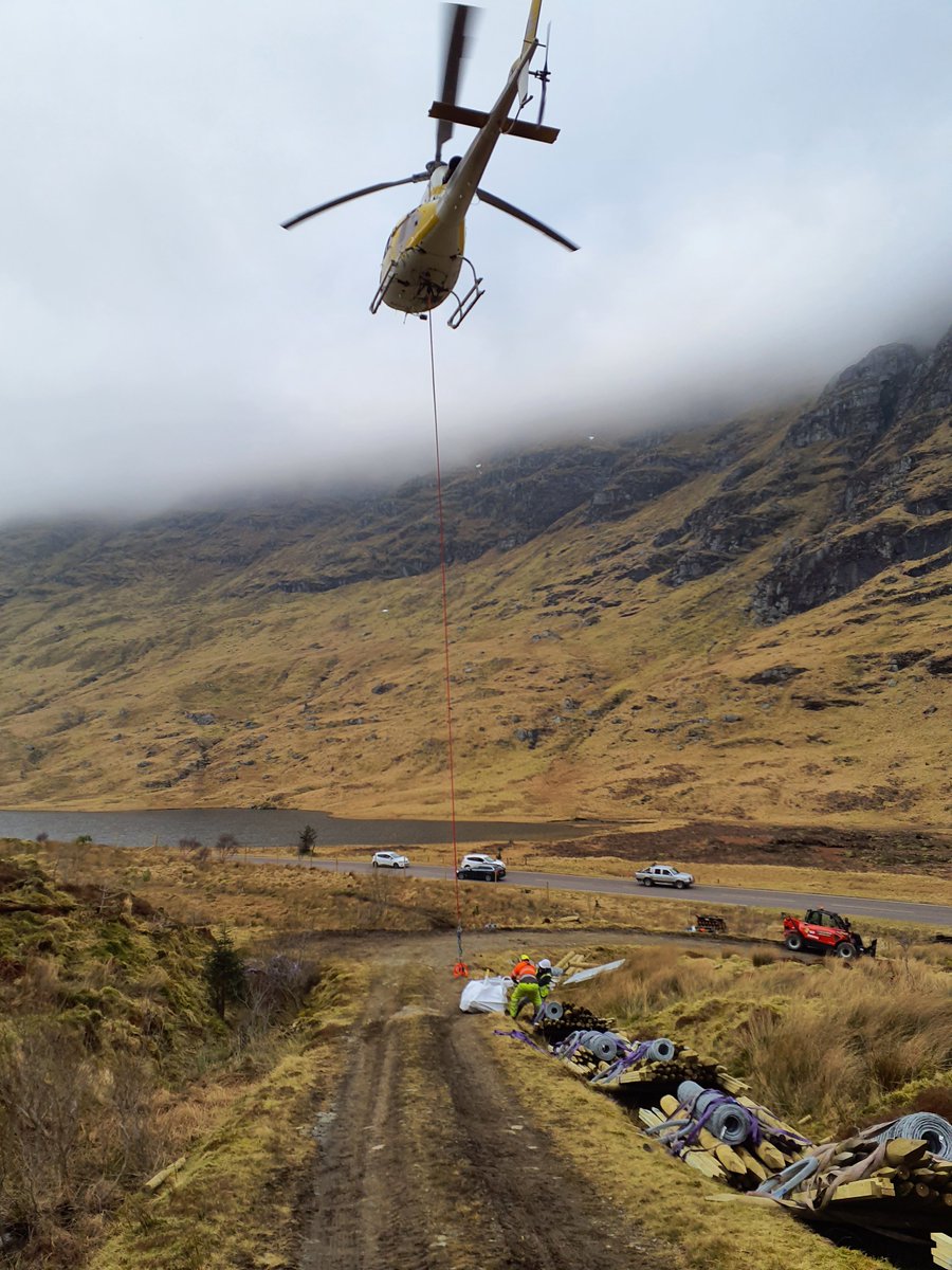 Forestry and Land Scotland tweet media
