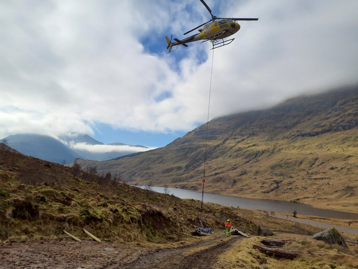 Forestry and Land Scotland tweet media