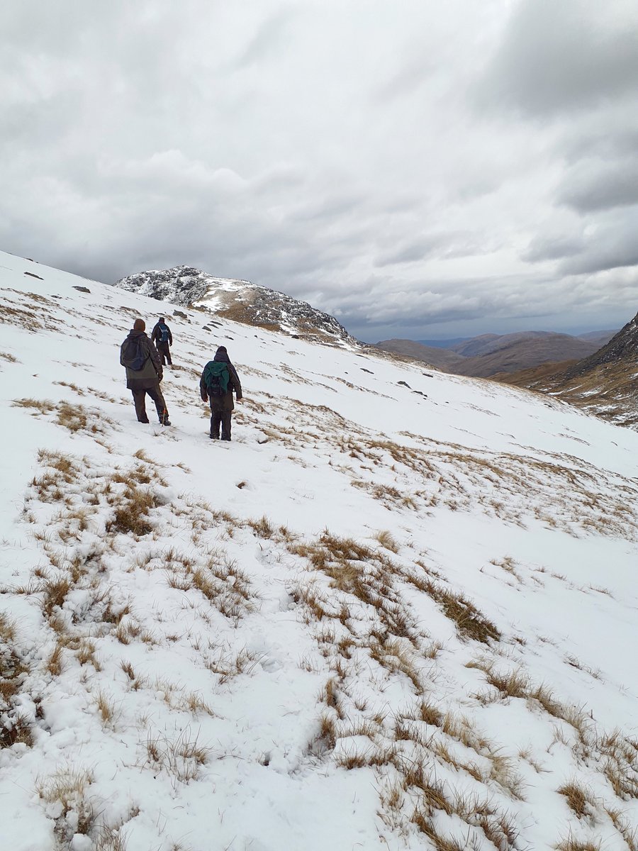 Forestry and Land Scotland tweet media