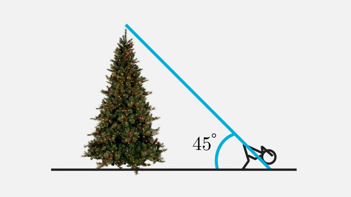 Fermat's Library on Twitter: "How to tell how tall a tree is 1) At a  distance,bend and look back through your legs 2) Adjust distance until you  can barely see the top