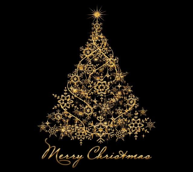 Siren Call Films tweet media