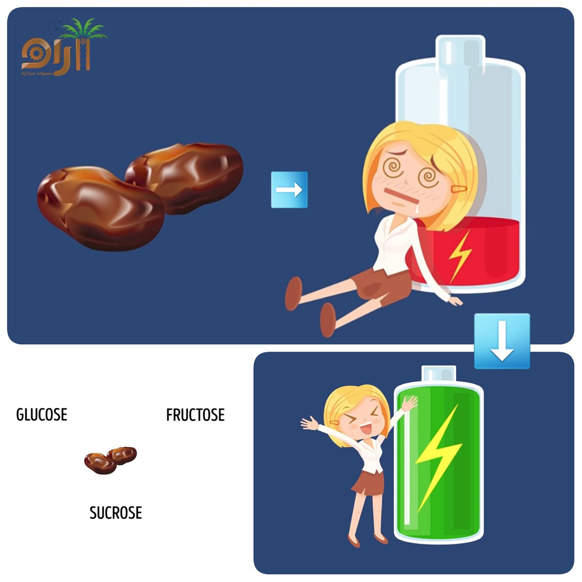 AradDates's tweet photo. Eating 2 dates a day for 1 week:
You'll have more energy https://t.co/ZCzyxEhF3d