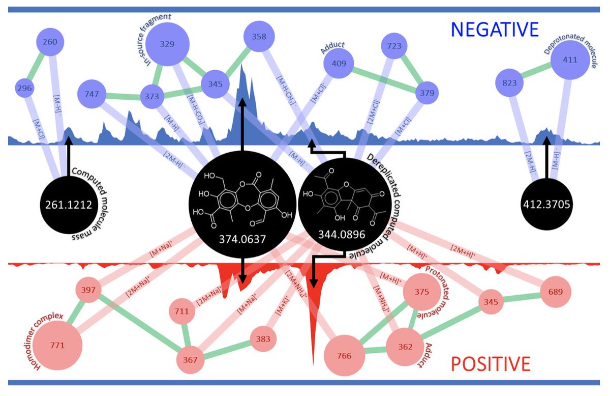 Proud of Dr Damien Olivier-Jiminez with whom we developed the #computational #metabolomics MolNotator workflow that turns mass spectral networks into simplified molecular networks! 😎 Molecular features are placed in their ionization context. biorxiv.org/content/10.110…