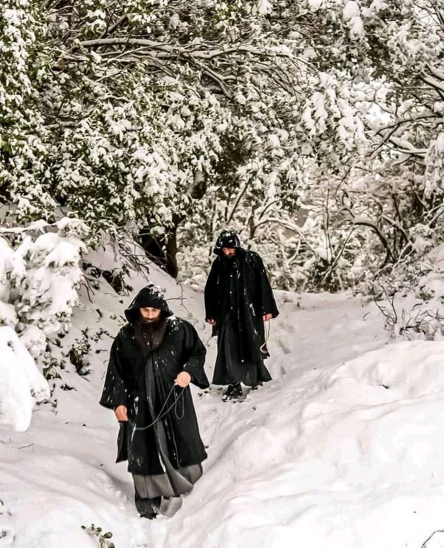 RadosnaVijest's tweet photo. Ἅγιον Ὄρος!
Света гора!

#athos #orthodox #church https://t.co/Lzm8YXFlzi