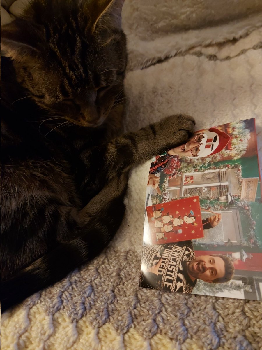 Jennylou1's tweet photo. @CharlieTaylor4 @jack_murley thank you for the fabulous card. My cat approves. Have a good Xmas and New year x now off on a run 😁🎅❤🎄 https://t.co/26R0kLkslz