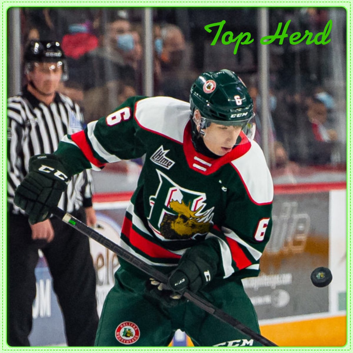 MC_MooseCountry's tweet photo. The Moose Country Top Herd for Dec 11, with a goal and an assist, is Markus Vidicek #topherd #Halifax #Mooseheads
Photo - Herd website https://t.co/xCg165R3xR