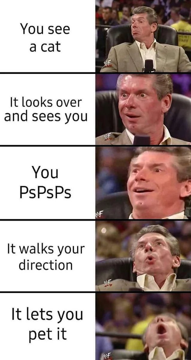 WholesomeMemes (@wholesomememe) on Twitter photo 