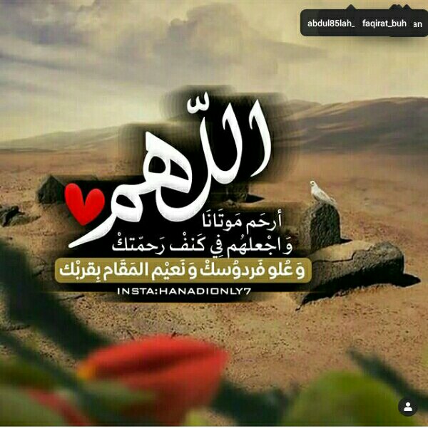 Aljhiri's tweet photo. @L6vUPM0IMxGcJbs الله ينور قبره https://t.co/NnrY605LpB