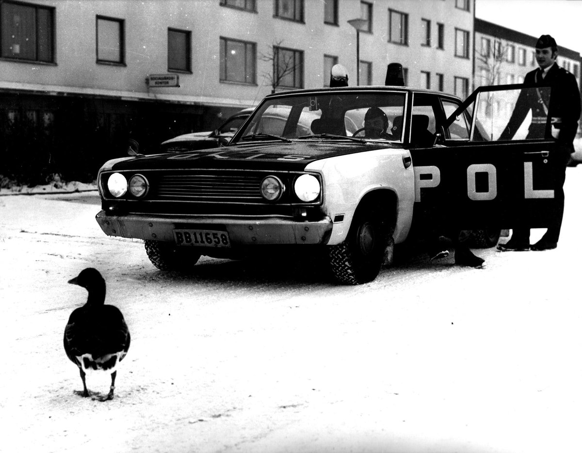 Polismuseet's tweet photo. Gåsjakt. Radipolisen i Märsta rycker ut pga en gås. Att fånga in vilda och tama djur var förr en relativt vanlig syssla för polisen. Radiobilen är en Plymouth Valiant och den har utrustats med blåljus efter 1970 Den har även kamera av märket Robot , Märsta 1971 #tbt https://t.co/rJhygzygSm