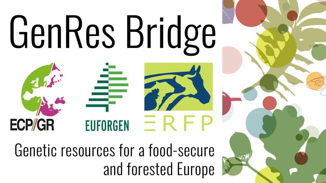 GenRes Bridge (@genresbridge) on Twitter photo 📫The latest issue of our newsletter is out - take a tour of the most important milestones we achieved in the final year of the project!
mailchi.mp/4ae1237ec604/g…
<a href="/CORDIS_EU/">EU Research Results</a> <a href="/HorizonEU/">Horizon Europe 🇪🇺</a> <a href="/EU_ENV/">EU Environment</a> 📫The latest issue of our newsletter is out - take a tour of the most important milestones we achieved in the final year of the project!
mailchi.mp/4ae1237ec604/g…
<a href="/CORDIS_EU/">EU Research Results</a> <a href="/HorizonEU/">Horizon Europe 🇪🇺</a> <a href="/EU_ENV/">EU Environment</a>